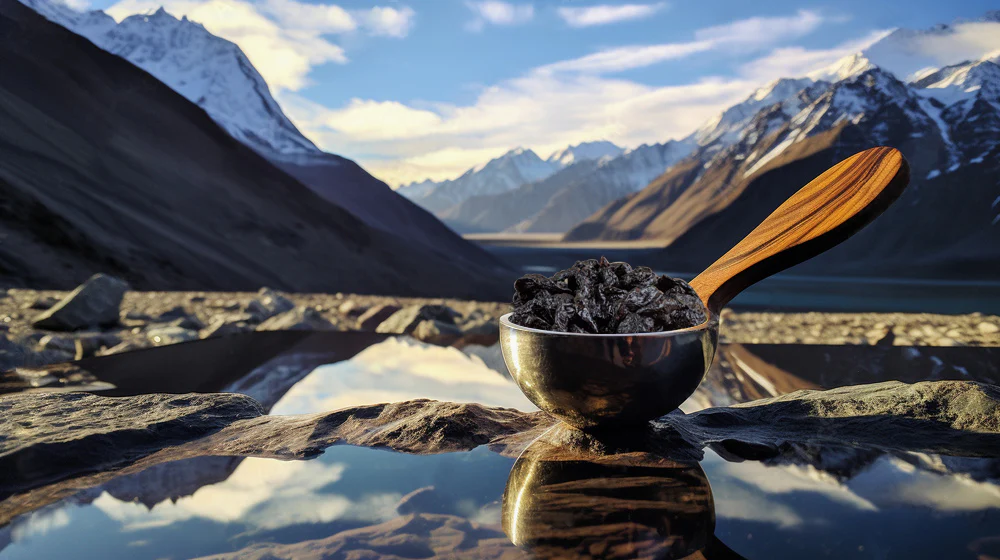 Shilajit: The Ancient Himalayan Remedy for Health and Vitality